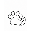 Paw print beside a leaf